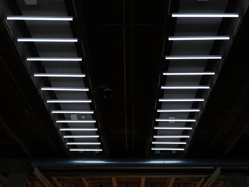 Rows of linear lights on a ceiling
